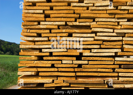 Holz Schnittware Strahl Platte Board Plank Regal Baum Wald Waldbau Haken stumpf Stub Pack Stapel Stapel Stapel legen Stockfoto