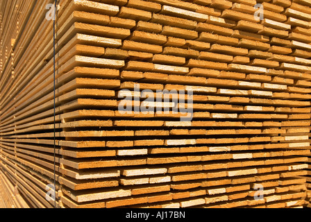 Holz Schnittware Strahl Platte Board Plank Regal Baum Wald Waldbau Haken stumpf Stub Pack Stapel Stapel Stapel legen Stockfoto