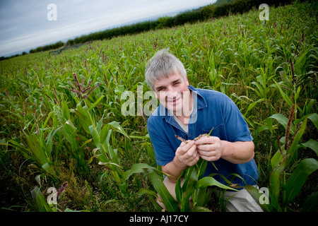 Landwirt Rob Law, Farmer des Jahres 2007 auf Sparsamkeit Bauernhof, Hertfordshire Stockfoto