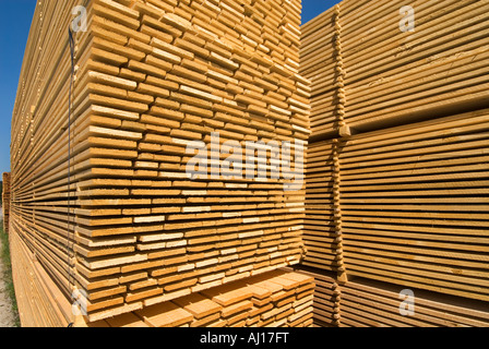 Holz Schnittware Strahl Platte Board Plank Regal Baum Wald Waldbau Haken stumpf Stub Pack Stapel Stapel Stapel legen Stockfoto