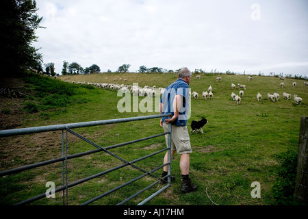 Landwirt Rob Law, Farmer des Jahres 2007 auf Sparsamkeit Bauernhof, Hertfordshire Stockfoto