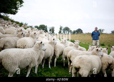 Landwirt Rob Law, Farmer des Jahres 2007 auf Sparsamkeit Bauernhof, Hertfordshire Stockfoto