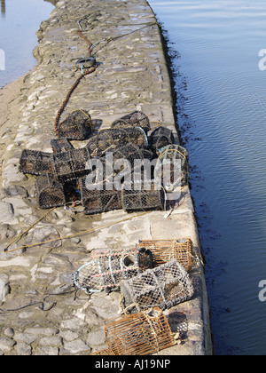 Hummer-Töpfe auf der Hafenmauer, Summerleaze Beach, Bude Stockfoto