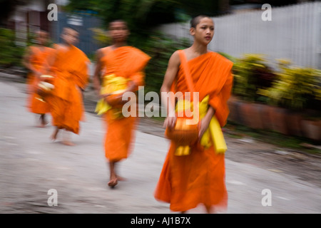Mönche auf dem Weg zum Sammeln von Almosen in Luang Prabang Laos Stockfoto