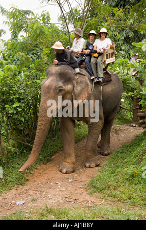 Touristen warten, um die Straße zu überqueren, während Sie auf einem Elefanten bei The Elephant Park Project in der Nähe von Luang Prabang Laos Stockfoto