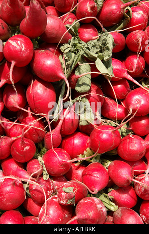 Rote Beete Stockfoto