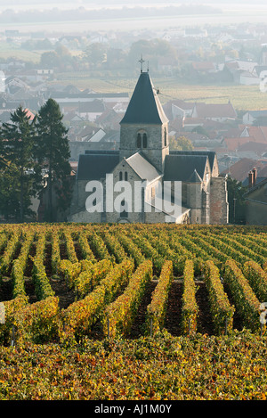 Frankreich, Marne, Mesnil sur Oger, Weinberge im Herbst oberhalb des Dorfes Stockfoto