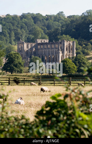 Rievaulx Abbey eingebettet in das Tal in den North York Moors National Park Yorkshire UK Stockfoto