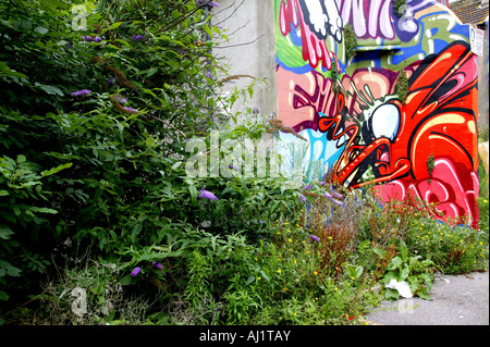 Graffiti an den Wänden einer verlassenen bewachsene Fläche gesprüht Stockfoto