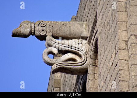 Romanische C12th Groteske mit rollbaren Zunge gefunden auf dem Turm in Bury St Edmunds Suffolk East Anglia UK Stockfoto