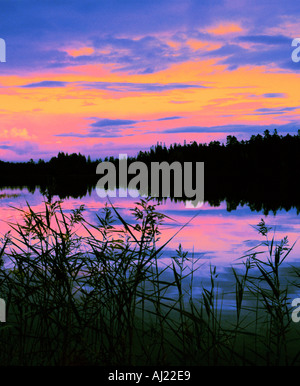 SCHÖNE LANDSCHAFT SONNENUNTERGANG ÜBER WASSER UND BÄUME Stockfoto