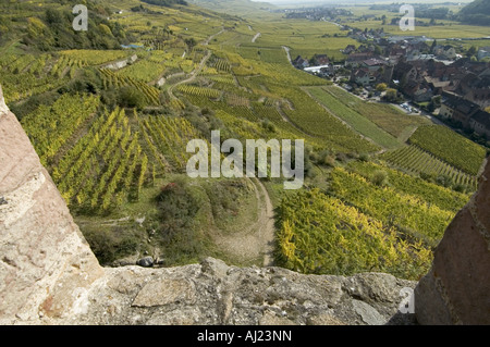 Blick auf Kaysersberg Weinberge aus dem 13 Jahrhundert Burgruine, Elsass, Frankreich. Stockfoto