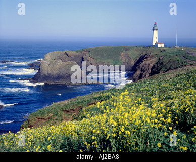 Yaquinna Herad Leuchtturm in der Nähe von Newport auf der Central Oregon Coast Stockfoto