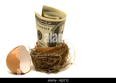 Ei-Nest und us Dollar Geld Rente Ersparnisse Anlagekonzept. Stockfoto