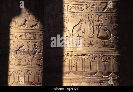 Reich verzierte Säulen im Tempel des Horus-Falken in Edfu, Ägypten Stockfoto