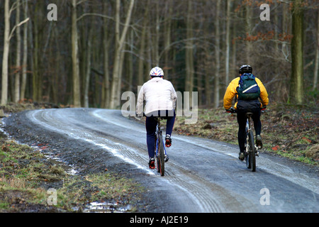 Zwei Berg-Radfahrer genießen Wyre Forest verfolgen Worcestershire England Stockfoto