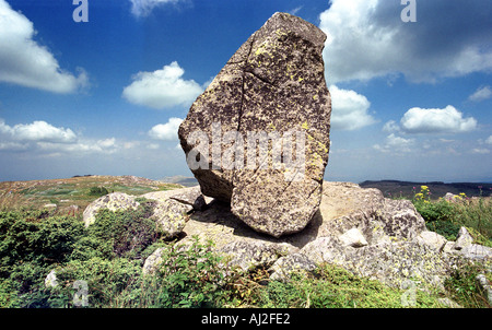 Großen Stein vom Berg Vitosha National Park in der Nähe von Sofia die Hauptstadt von Bulgarien Stockfoto