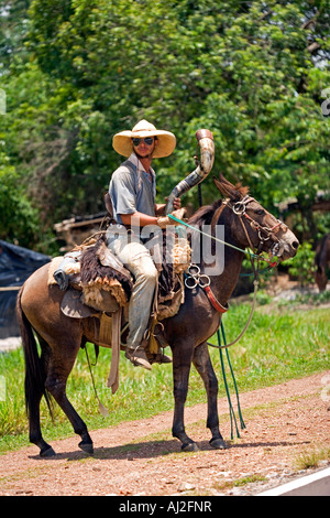 Traditionellen Pantanal Cowboy, Peao Pantaneiro auf Vieh hüten Pflicht mit traditionellen Horn in die UNESCO-Pantanal Sumpfgebiete Stockfoto