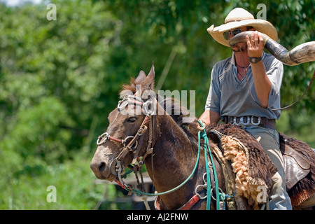 Traditionellen Pantanal Cowboy, Peao Pantaneiro auf Vieh hüten Pflicht mit traditionellen Horn in die UNESCO-Pantanal Sumpfgebiete Stockfoto