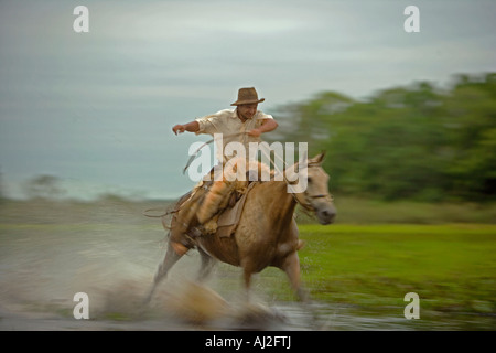 Traditionellen Pantanal Cowboys, Peao Pantaneiro am Bauernhof und Tiere lodge Pousada Xaraes Satz in die UNESCO-Pantanal Stockfoto