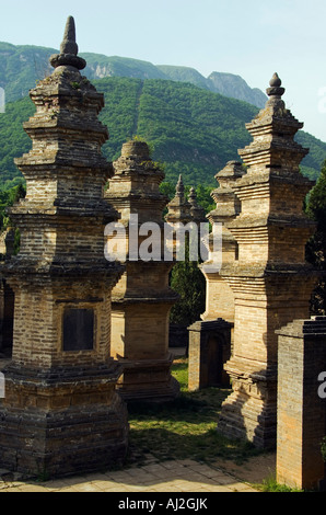 Pagode Waldfriedhof am Shaoling Tempel, der Geburtsort des Kung Fu Martial Arts, Provinz Henan, China Stockfoto