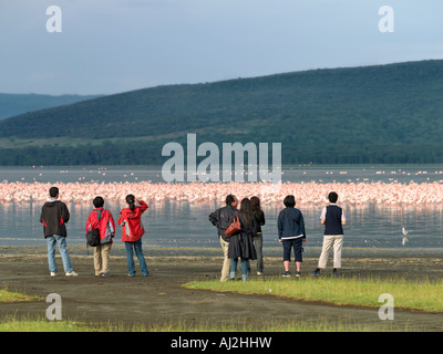 Touristen beobachten und Fotografieren von Flamingos am Ufer des Lake Nakuru, Kenia Stockfoto