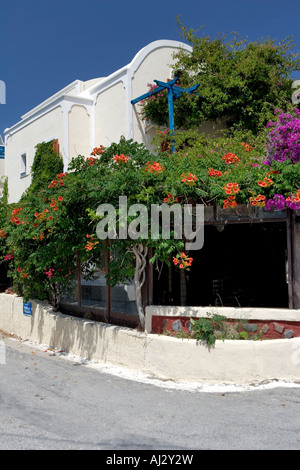 Hübsche kleine Taverne in der Nähe von Kamari Beach in Santorini Griechenland Stockfoto