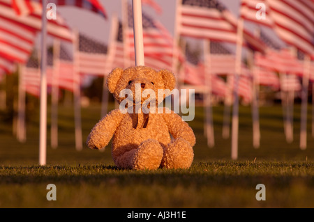 USA-Flaggen mit Teddybär Memorial Stockfoto