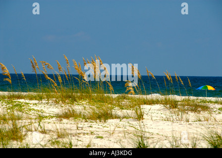 Sehafer am nordwestlichen Florida Beach Stockfoto