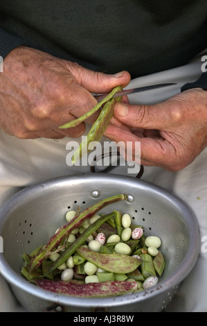 Mann, die Vorbereitung von Saubohnen und Stangenbohnen zum Kochen im Vereinigten Königreich Stockfoto