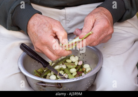 Mann, die Vorbereitung von Saubohnen und Stangenbohnen zum Kochen im Vereinigten Königreich Stockfoto