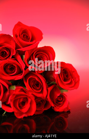 Rote Rosen Stockfoto