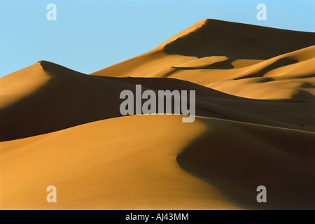 Khongoryn Els Sanddüne. Süd-Gobi Wüste. Mongolei Stockfoto