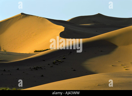 Khongoryn Els Sanddüne. Süd-Gobi Wüste. Mongolei Stockfoto