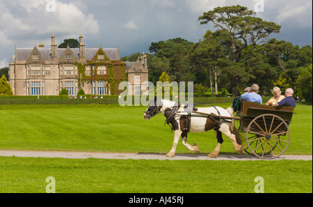 Jaunting Cars am Muckross House Killarney County Kerry Irland Stockfoto