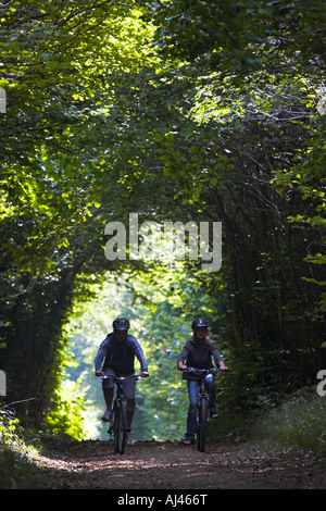 Zwei Rennradfahrer fahren entlang von Bäumen gesäumten Maultierweg auf Harley Down, Dorset Stockfoto