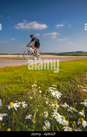 Einsame Radfahrer fährt entlang einer off-Road-track, Dorset Stockfoto