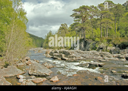 Fluss Affric und der Caledonian Wald, Glen Affric Strathglass, Scotland, UK Stockfoto