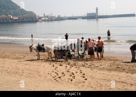 Malerische Aussicht auf Eseln zu Fuß auf der South Bay Strand, Scarborough, North Yorkshire, England. Stockfoto