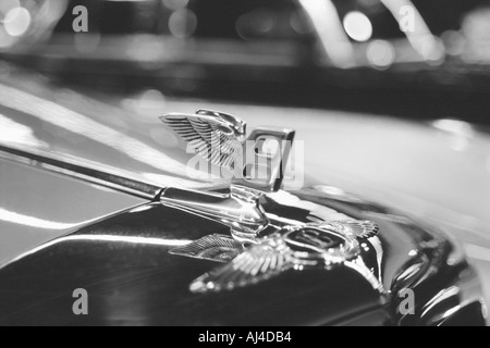 Glänzendes Chrom fliegen B Bentley Luxus Oldtimer Kühlerfigur Stockfoto