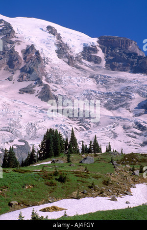 Mount Rainier und Nisqually Glacier in Mount Rainier Nationalpark im US-Bundesstaat Washington USA Stockfoto