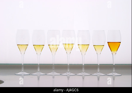 Analytische Weinprobe in einer neutralen weißen Umgebung einen weißen Schreibtisch voller Wein in Epernay zeigen wie die Farbe mit dem Alter von jungen gelben gelblich-grün grünlich in alten goldenen Bernstein in der Champagne an der Maison De La Champagne (das Haus der Champagne), der Hauptsitz des ZGB (Comite Interprofessionnel du Vin de Champagne) ändert ein Bildschirm mit Hintergrundbeleuchtung weiß mit einer Reihe von Sektgläser , Champagner, Marne, Ardennen, Frankreich Stockfoto
