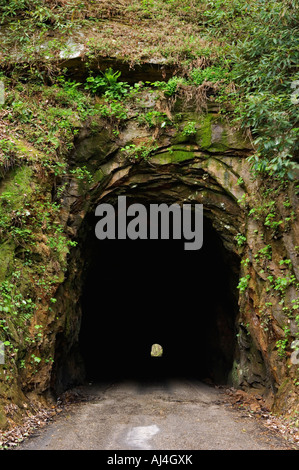 Eingang der Nada Tunnel Red River Gorge geologischen Gebiet Kentucky Stockfoto