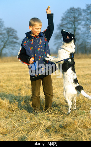 ein kleiner Junge macht seinen Hund auf seinen Hinterbeinen zu stehen und betteln Stockfoto