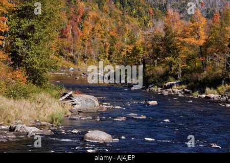 Herbst-Farbe auf Ausable River in der Nähe von Lake Placid, New York Stockfoto