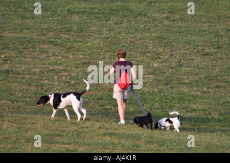 Frau zu Fuß durch Feld mit drei Hunde an der Leine beim reden auf Handy Cherokee Park Louisville Kentucky Stockfoto