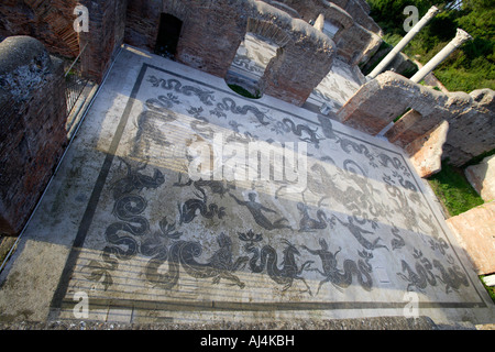 Mosaik Boden In den Bädern von Neptun, Ostia Antica, Italien Stockfoto