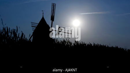 Die Windmühle, die Silhouette Moulin Saint-Pierre De La Fage hinter Lavendelbüsche auf dem Larzac Plateau l Herault und Umgebung Stockfoto