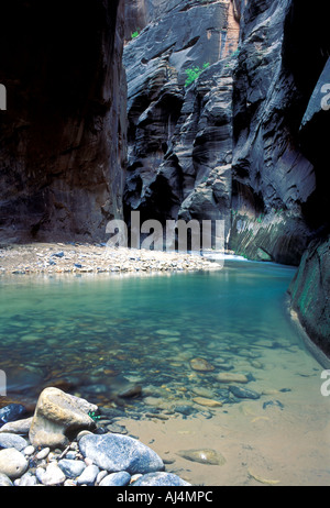Zion Narrows, Zion Nationalpark, Utah, USA Stockfoto