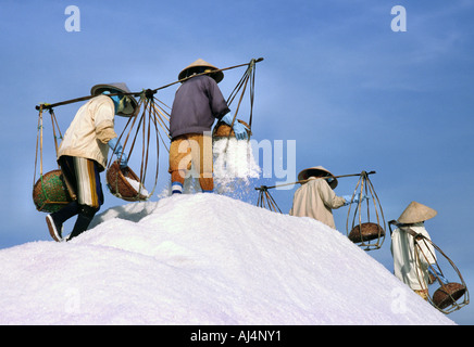 Frauen, die Ernte Salz in Nha Trang Salz Felder Vietnam Stockfoto